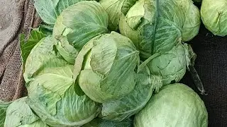 Khalilabad market live video, live streaming, YouTube live, viral video #short#shortfeed