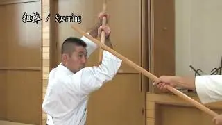 琉球古武道金剛流紹介ビデオ / Introduction to Ryukyu Kobudo Kongo-ryu