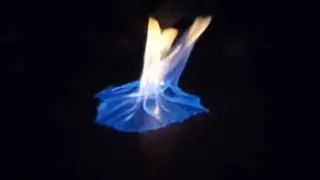 Sanitizer and fire reaction