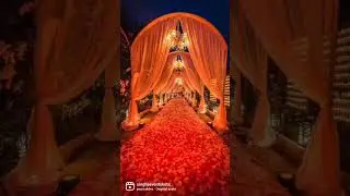 Destination Wedding | Venue | Ranthambore | Event Planner |  Viral | Views | Singh's Events Kota