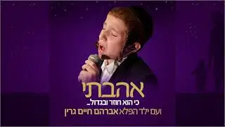 Preview With Avrohom Chaim Green