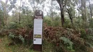 Pound Bend Rock Pool and Tunnel Warrandyte, Melbourne, Victoria, Australia