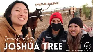 JOSHUA TREE TRAVEL VLOG - JANUARY 2021