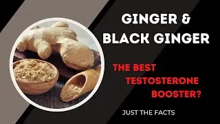 Ginger & Black Ginger and Testosterone Levels?