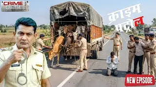 पुलिस की रेड में रंगे हाथों पकड़े गए गाय तस्कर || || Crime Patrol ||  New Episode
