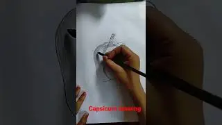 Beautiful capsicum drawing