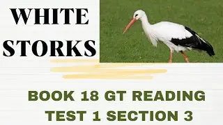 BOOK 18 TEST 1 SECTION 3 | WHITE STORKS | GENERAL READING PRACTICE