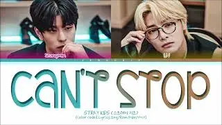 SKZ Can&rsquo;t Stop 1hour / 스키즈 나 너 좋아하나봐 1시간 / Stray Kids Can&rsquo;t Stop  1時間耐久