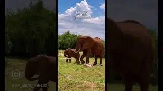 Kenya is more than a place - It&rsquo;s a story untold.