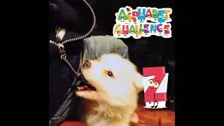Z DMWYD Alphabet Challenge Ideas