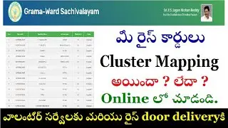 Check Your Rice Card in Volunteer Cluster Mapping Report in Online Telugu || Rice Card Status