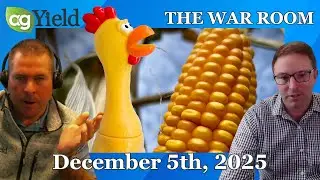 Corn buyers are 