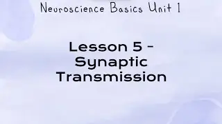 Unit 1 Lesson 5 - Synaptic Transmission