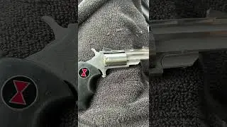 NAA Black Widow 22WMR/LR Conversion #Stickys Holster
