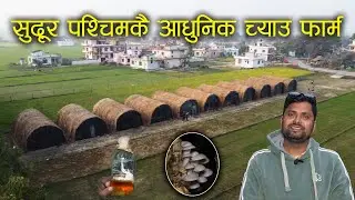 सुदूर पश्चिममा आधुनिक प्रबिधि सहित च्याउ खेती गरिरहेका मनोज पडाल - Mushroom farming in Nepal