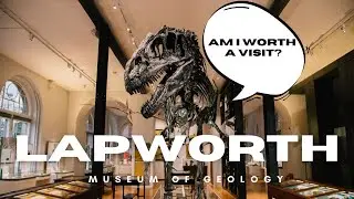Lapworth Museum of Geology. Is It Worth A Visit?