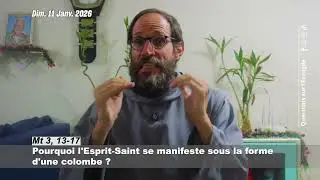 Pourquoi l'Esprit-Saint se manifeste sous la forme d'une colombe ?