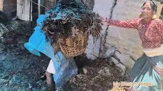 Traditional Nepali Daily Life Activities.Real Nepali Activities.