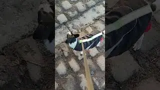Прогулка по средам. Часть 1.