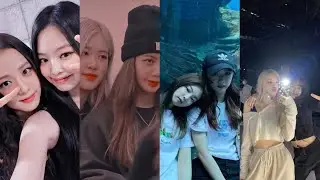[JENSOO-LICHAENG] Những khoảnh khắc đáng iu của Jisoo dành cho Jennie và Lisa dành cho Rosé🌺 #tiktok