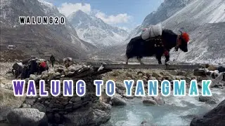 Olangchung Gola to Yangmak #himalayantrip#taplejung#nepaltourism