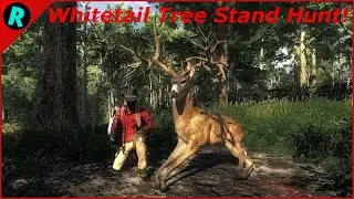 Whitetail Tree Stand Hunt! | theHunter Classic