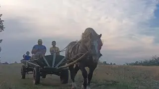 Cu Alex la plimbare cu calul