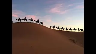 Merzouga/ouarzazat/gorges de todra desert sahara maroc رحلة الرمال الذهبية مرزوكة-ورززات-مضايق تودغا