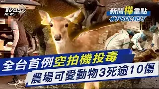 全台首例「空拍機投毒」 農場可愛動物3死逾10傷｜新聞