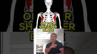 DON'T Make This Mistake When Stretching Your Chest Muscles #shoulderpain #shoulderpainrelief #pecs
