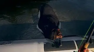 Ragnar the Terrible HOW TO - Far Cry 5