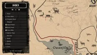 Lady Slipper Orchid location