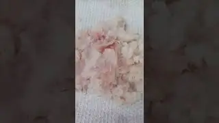 クロシビカマスの刺身