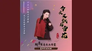 今夜又飘起雪花