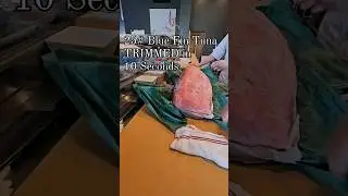 Trimming Blue Fin Tuna - 25# Spanish Blue Fin Tuna