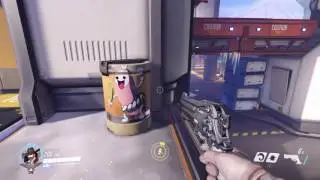 Overwatch: Leek Spray