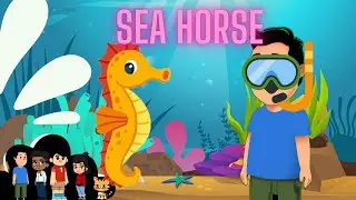 Amazing Seahorse Facts for Kids! | Fun Ocean Learning with Zebo and Friend