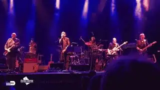 Classic Albums Live Performs U2: 