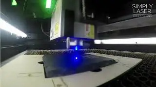 Time Lapse dinosaur skulls coaster