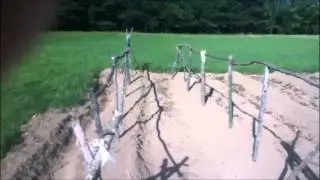 Bean poles