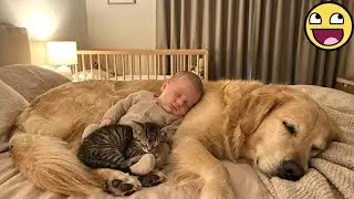When your dog is gentle with the little angel 💞🐶