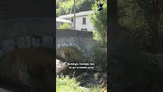 Hautas Pireneas : Un libe dedicat ar estudi deth gascon de Nist&ograve;s