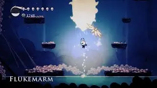 Hollow Knight Fluke boss fight