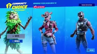 Fortnite *NEW* Community Vote Item Shop Skins