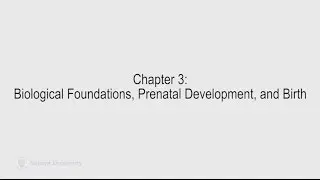 Developmental Psychology - Lecture 05 (PSYC 240)
