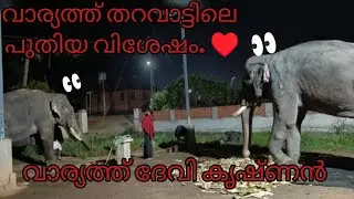 വാര്യത്ത് തറവാട്ടിലെ പുതിയ വിശേഷം. വാര്യത്ത് ദേവി കൃഷ്ണൻ 🥰#elephant #aana #new 