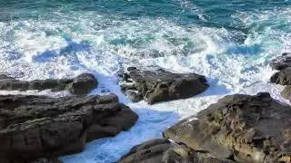 Beautiful Relaxing Music🌿 Stop Overthinking, Stress Relief Music, Sleep Music