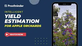 Yield Estimation For Apple Orchards with Proofminder AI Algorithm