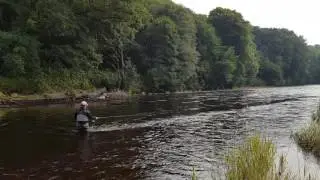 Fly Fishing On The River Nith