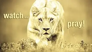 Watch and Pray (Dann Green on Matthew 26:41)